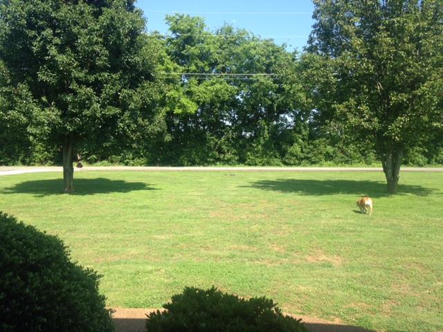 286 Collins Road Portland, TN 37148 - Photo 4 of 16