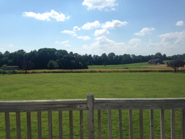 286 Collins Road Portland, TN 37148 - Photo 5 of 16