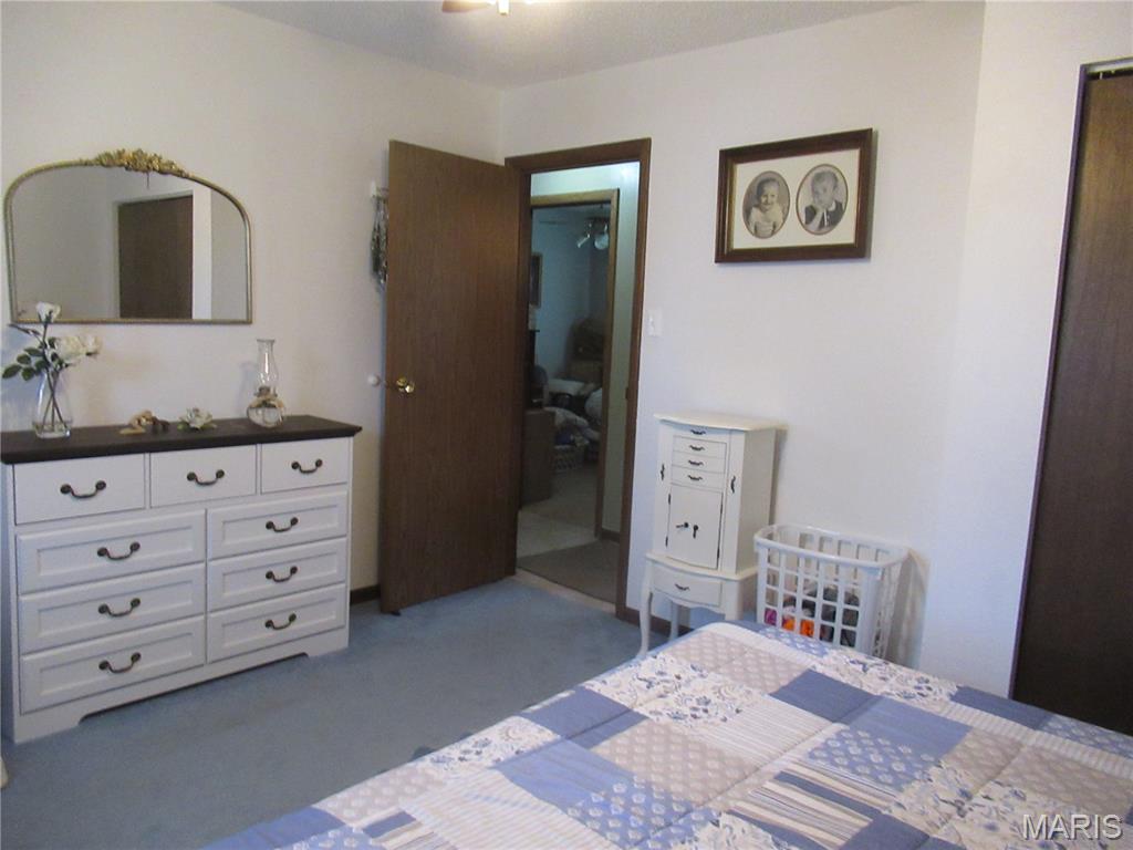 710 Sarah Street Sullivan, MO 63080 - Photo 15 of 35