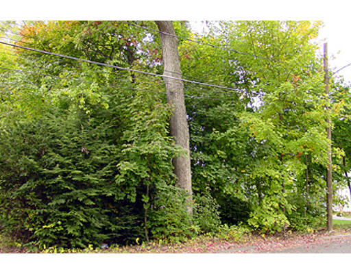 14 Groveton Street Springfield, MA 01118 - Photo 1 of 1 Gallery Image 1