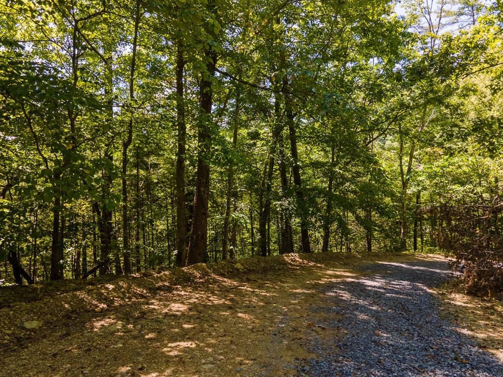 12 Meadow View Road Sevierville, TN 37862 - Photo 4 of 11