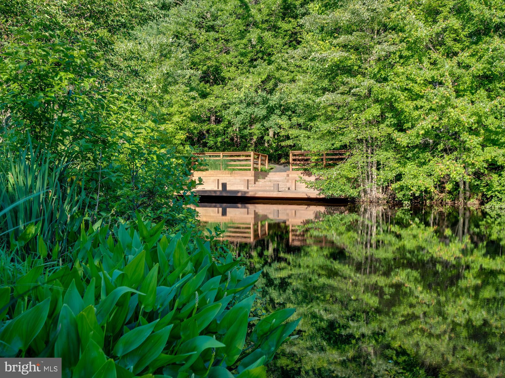 1407 Belcastle Court Reston, VA 20194 - Photo 2 of 42 Belcastle inc path to cluster dock on Lake Newport