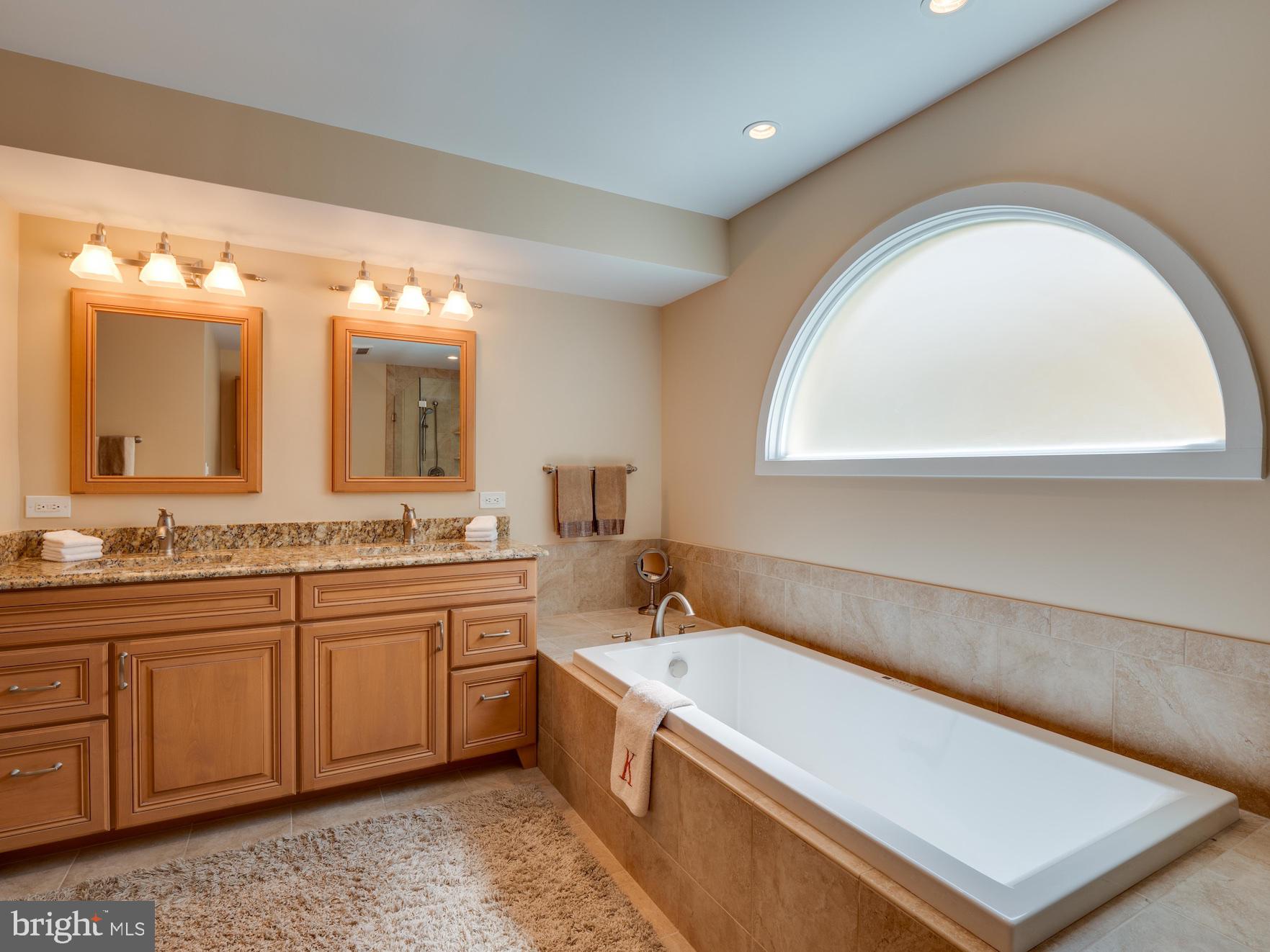 1407 Belcastle Court Reston, VA 20194 - Photo 23 of 42 Granite and built in medicine cabinets