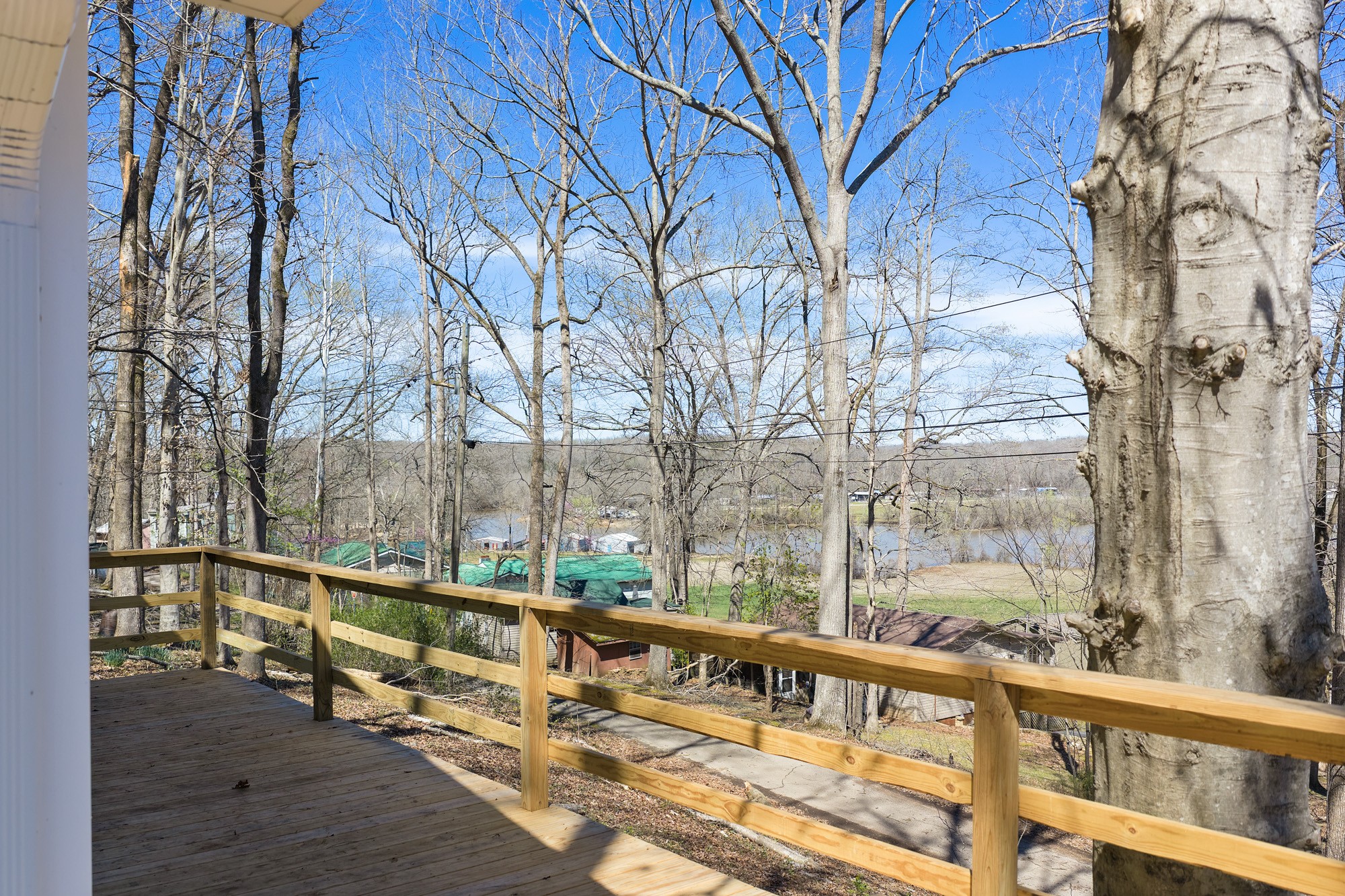 159 Hanklochte Drive Decaturville, TN 38329 - Photo 9 of 31