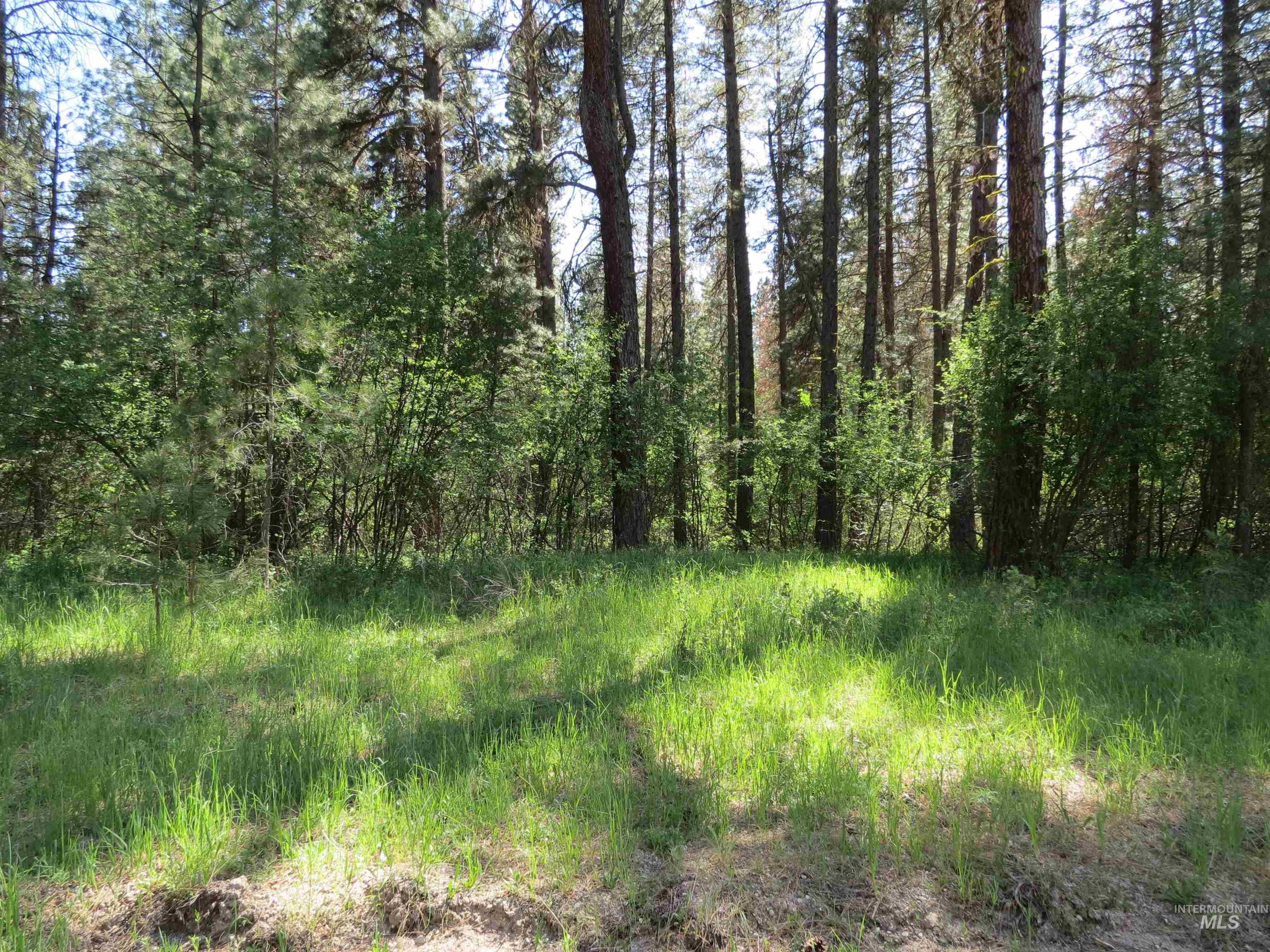 Parcel C Caseys Road Garden Valley, ID 83622 - Photo 2 of 20