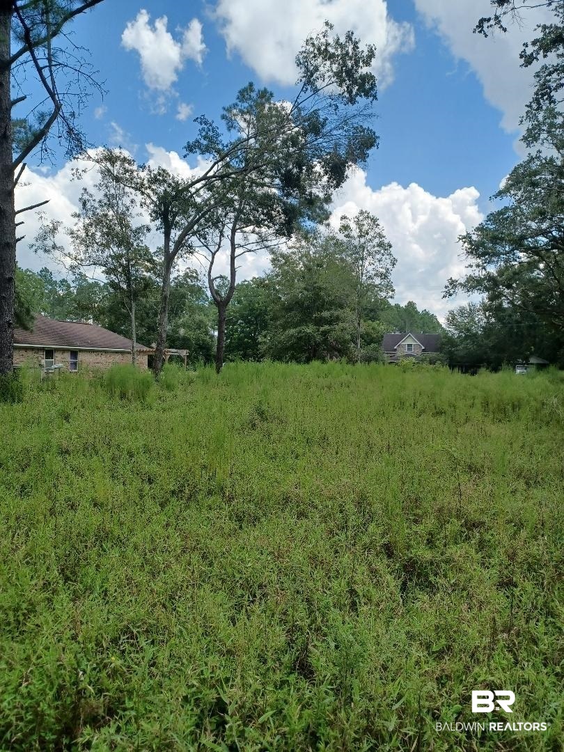 23281 Hill Road Silverhill, AL 36576 - Photo 3 of 13