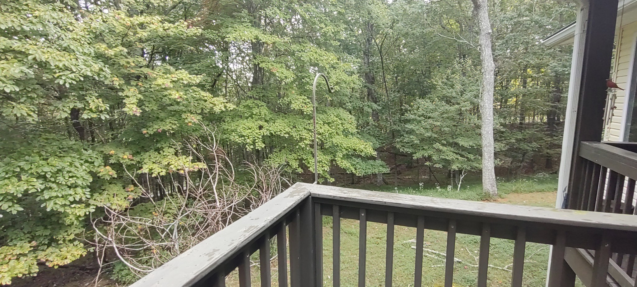 786 Old Sewanee Road Sewanee, TN 37375 - Photo 3 of 25 a balcony with trees in front of it