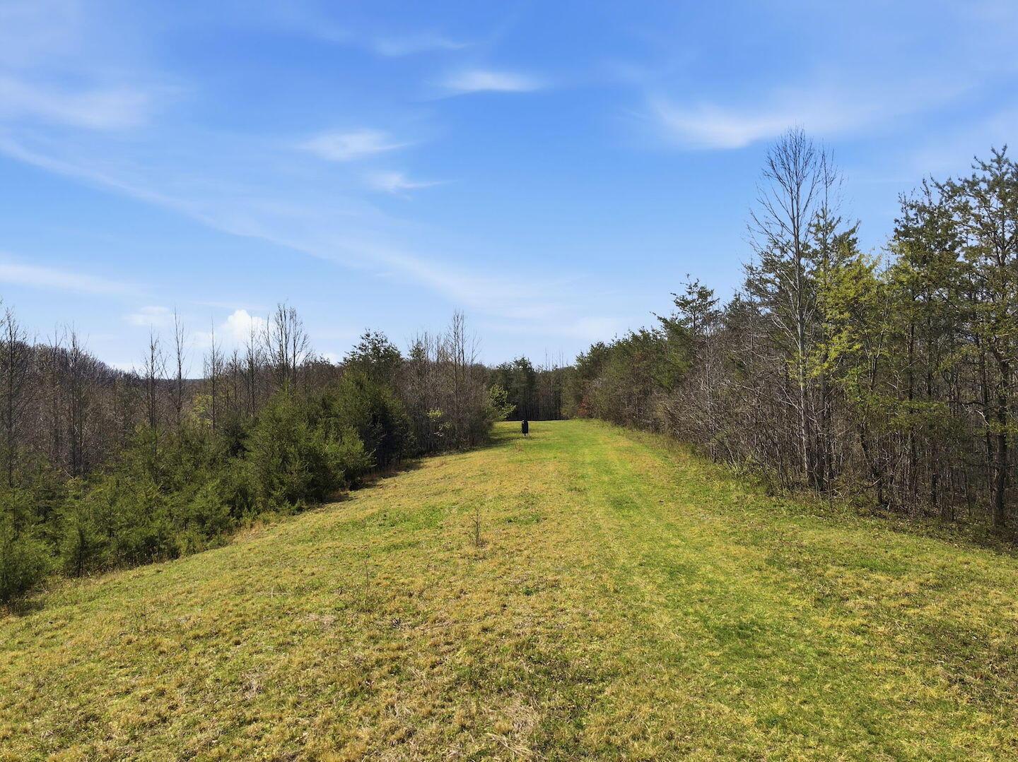 0 Roberts Road Jackson, OH 45640 - Photo 20 of 42 20-web-or-mls-DJI_0648