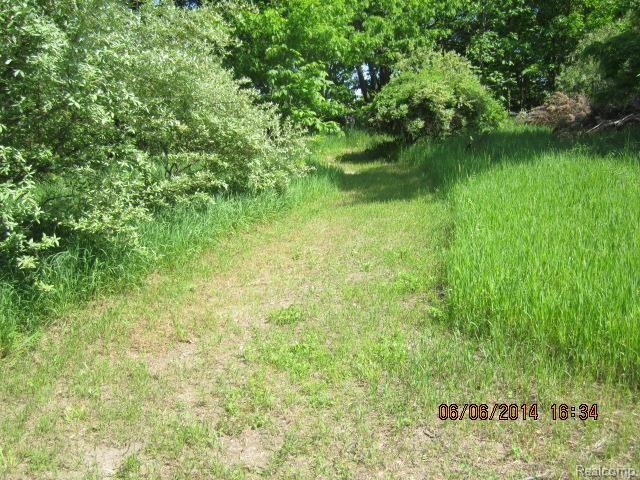4265 Stanley Road Columbiaville, MI 48421 - Photo 20 of 23 4265_Stanley_land_(7).jpg