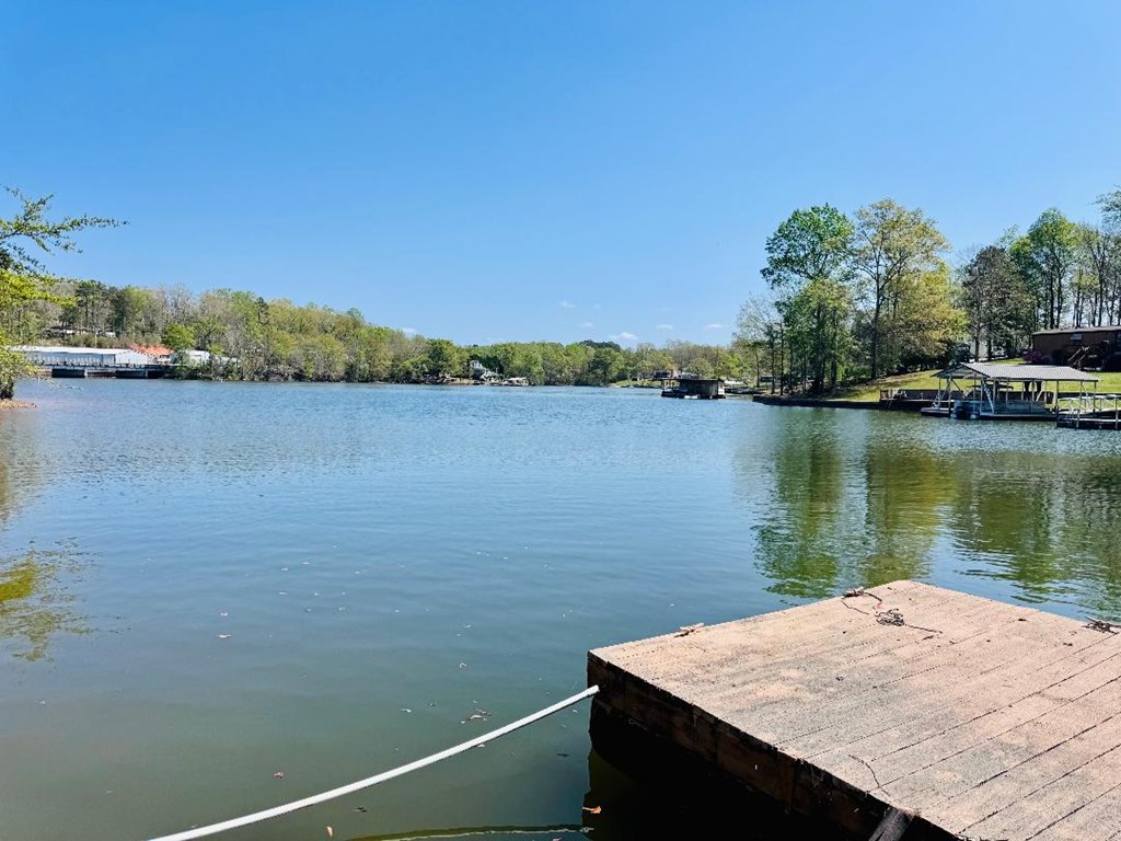 45 Phillips Drive Iva, SC 29655 - Photo 2 of 38