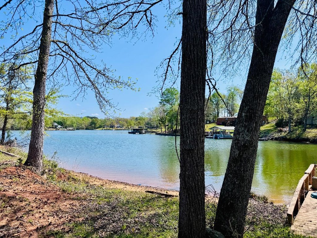 45 Phillips Drive Iva, SC 29655 - Photo 3 of 38