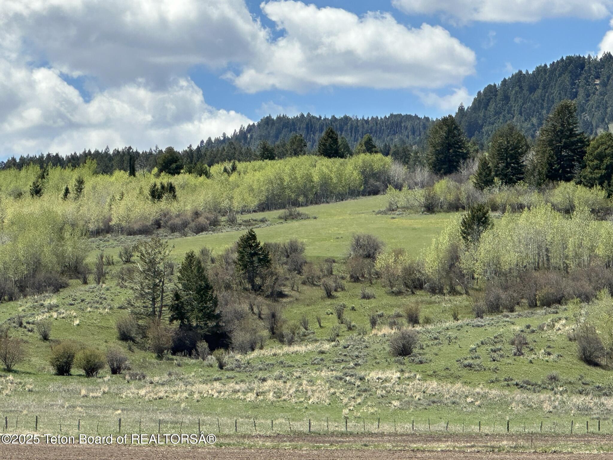 8489 Fawn Ridge Lane Tetonia, ID 83452 - Photo 15 of 19 IMG_1989