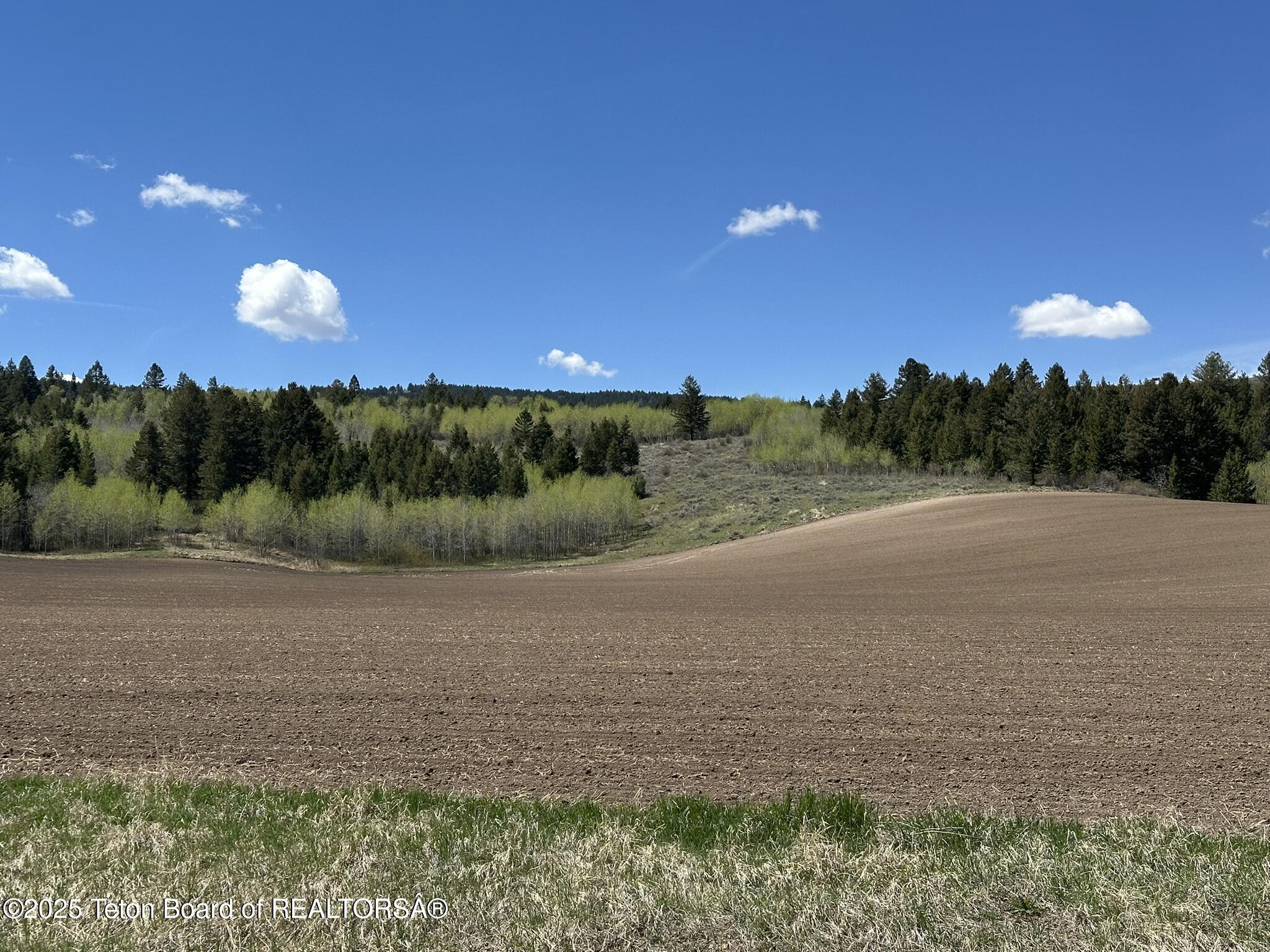 8489 Fawn Ridge Lane Tetonia, ID 83452 - Photo 2 of 19 IMG_1979