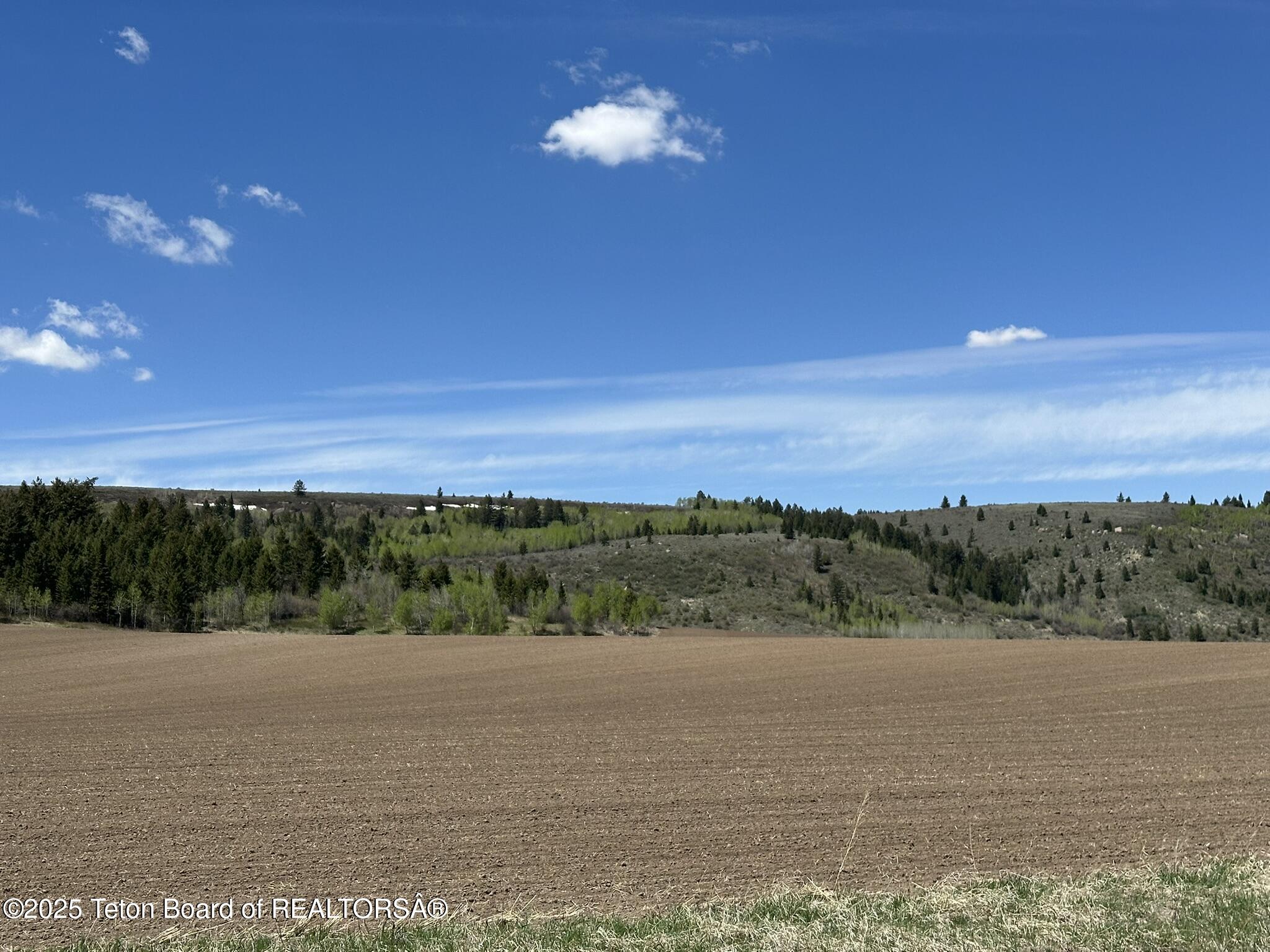 8489 Fawn Ridge Lane Tetonia, ID 83452 - Photo 8 of 19 IMG_1980