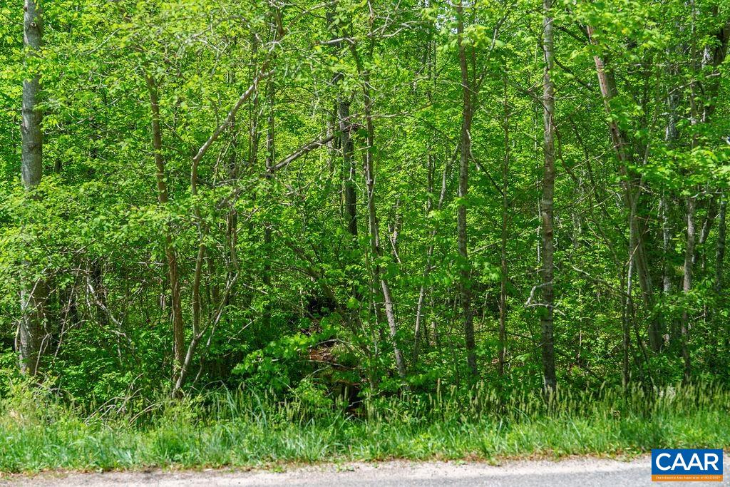 3850 County Line Road Kents Store, VA 23084 - Photo 18 of 19 Gallery Image 18