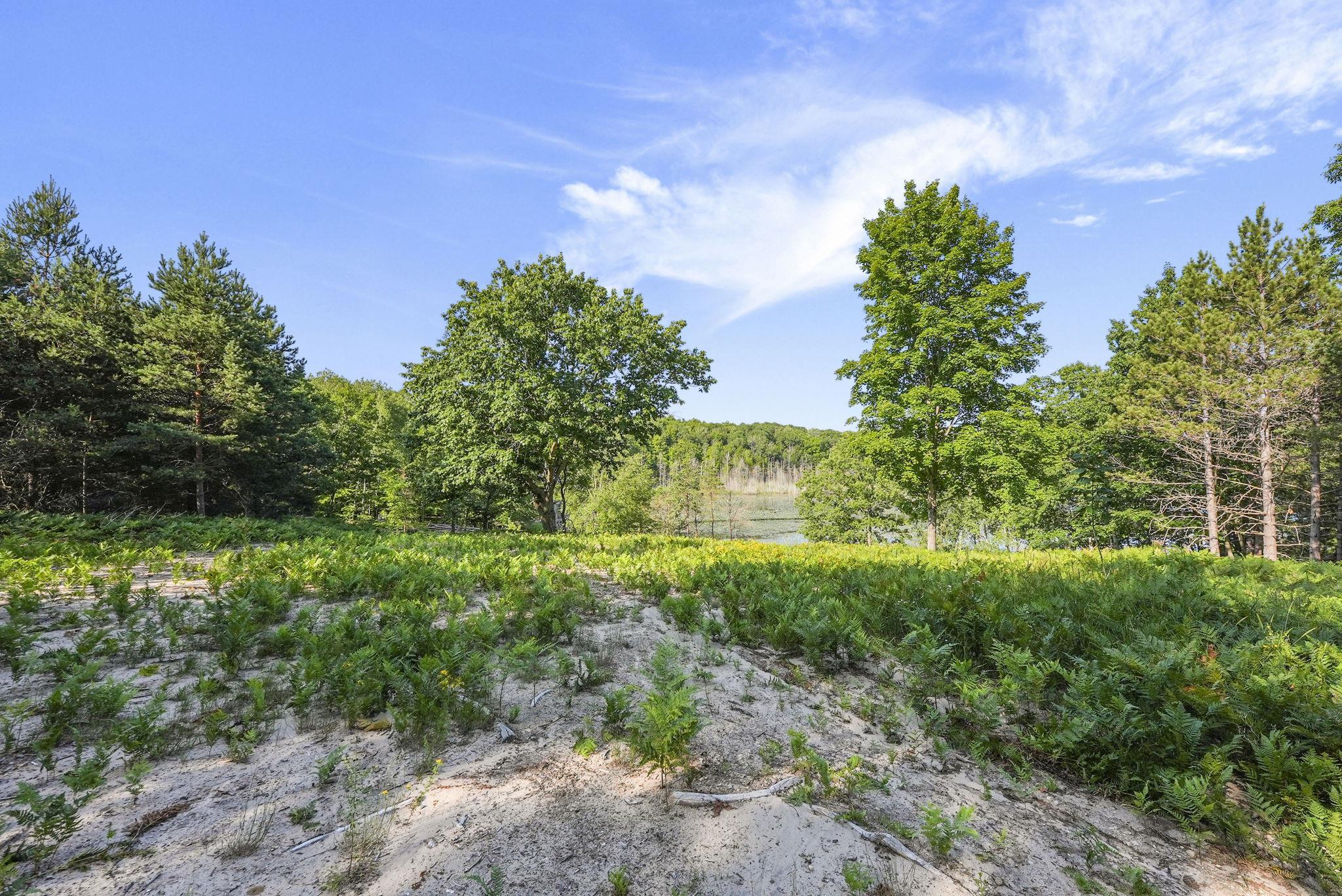 16963-parcel C Gray Heirs Road Lake Ann, MI 49650 - Photo 2 of 8