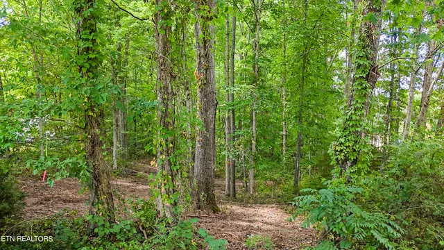 $139,900 | Big Spring Road, Oneida, TN 37841