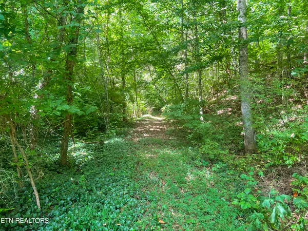 $139,900 | Big Spring Road, Oneida, TN 37841