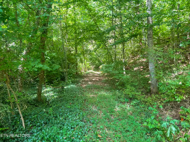 $139,900 | Big Spring Road, Oneida, TN 37841