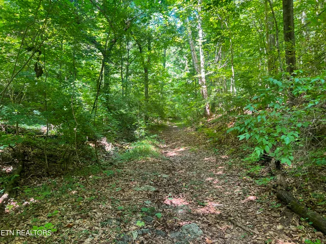 $139,900 | Big Spring Road, Oneida, TN 37841