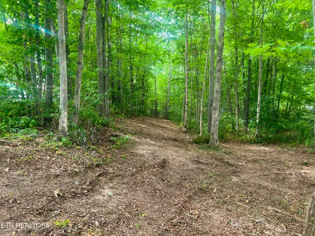 $139,900 | Big Spring Road, Oneida, TN 37841