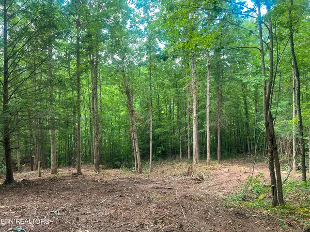 $139,900 | Big Spring Road, Oneida, TN 37841