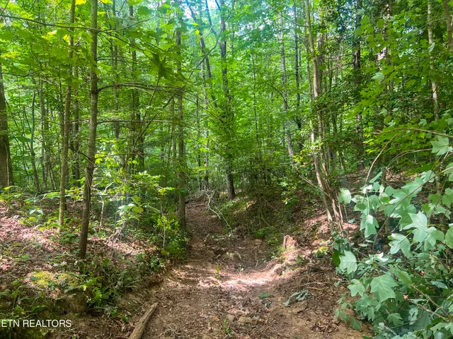 $139,900 | Big Spring Road, Oneida, TN 37841