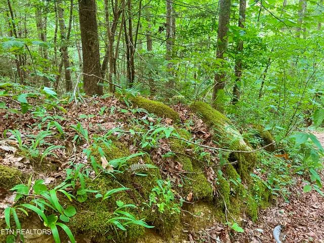 $139,900 | Big Spring Road, Oneida, TN 37841