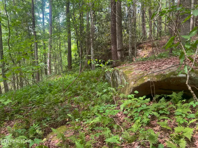 $139,900 | Big Spring Road, Oneida, TN 37841