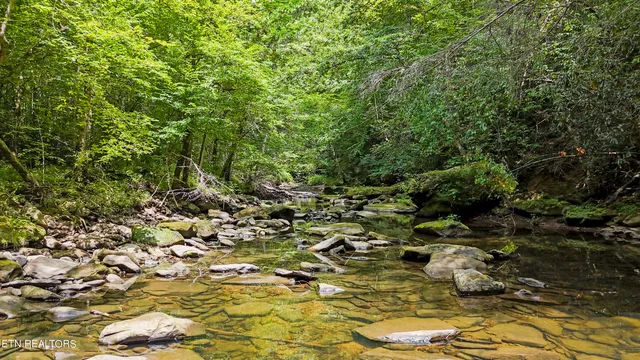 $139,900 | Big Spring Road, Oneida, TN 37841