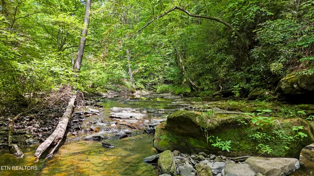 $139,900 | Big Spring Road, Oneida, TN 37841