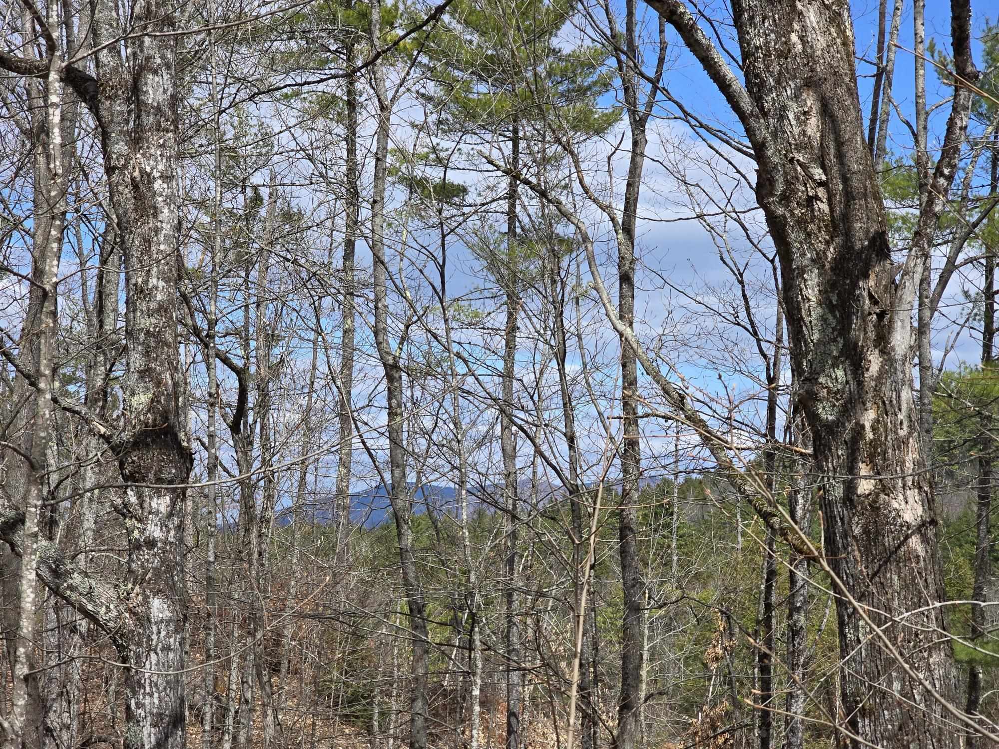 0 Haley Town Road Brownfield, ME 04010 - Photo 4 of 7