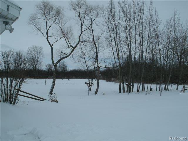 14760 Pine Knoll Road Capac, MI 48014 - Photo 11 of 12 View
