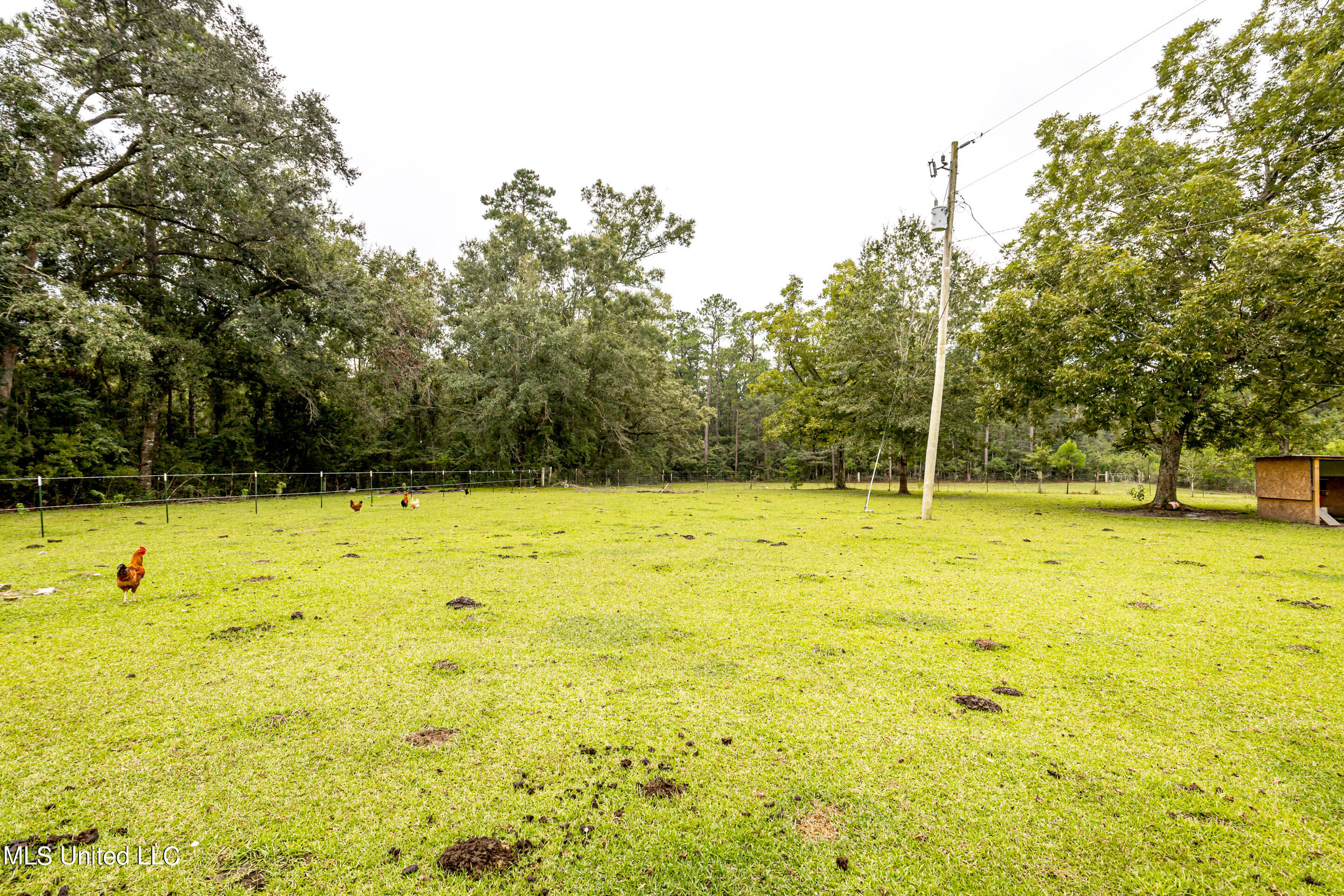 29543 Faye Road Pass Christian, MS 39571 - Photo 53 of 74 IMG_9612