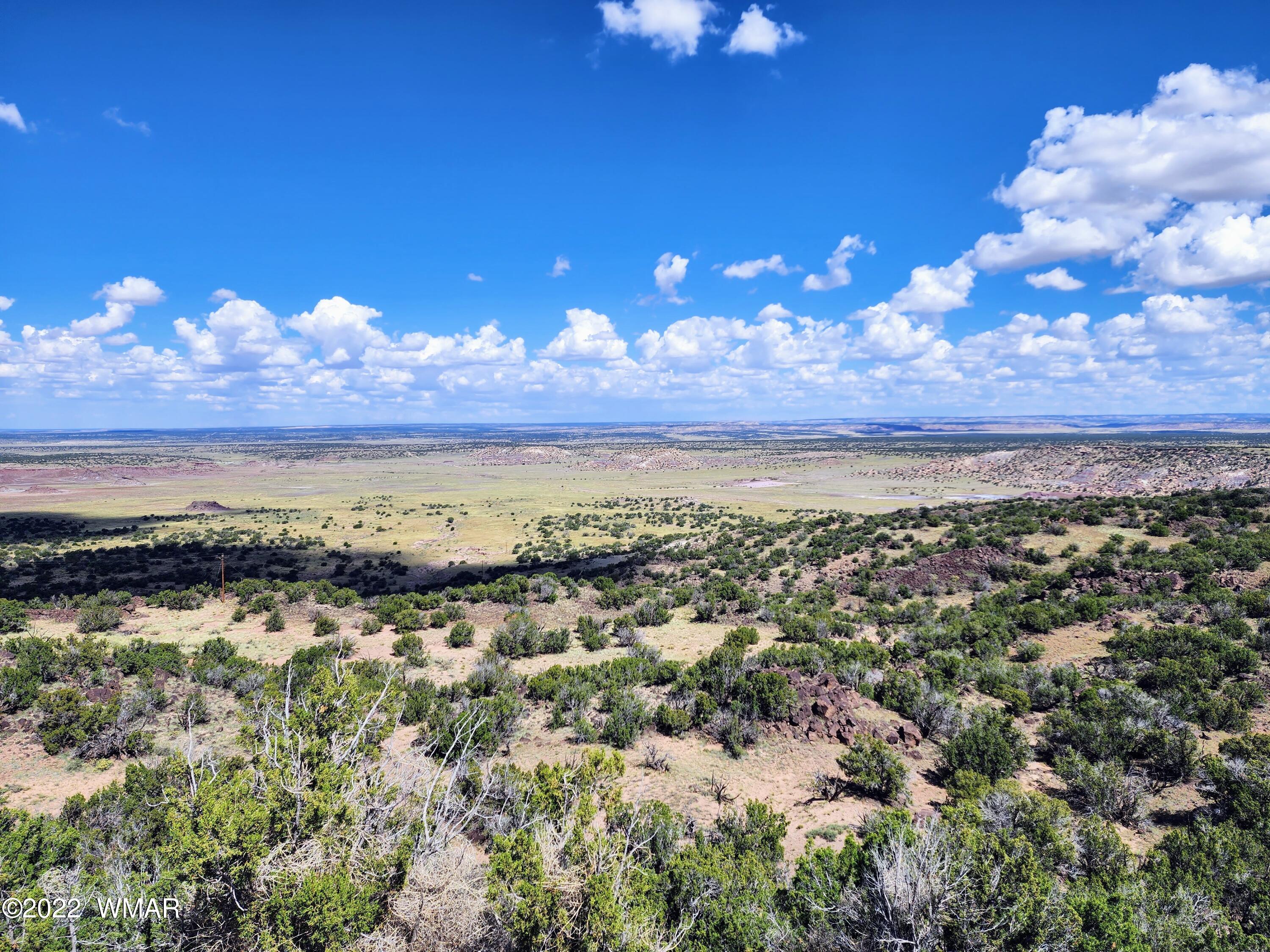Lot 25 Elk Valley Ranch, Unit 1 St. Johns, AZ 85936 - Photo 1 of 19