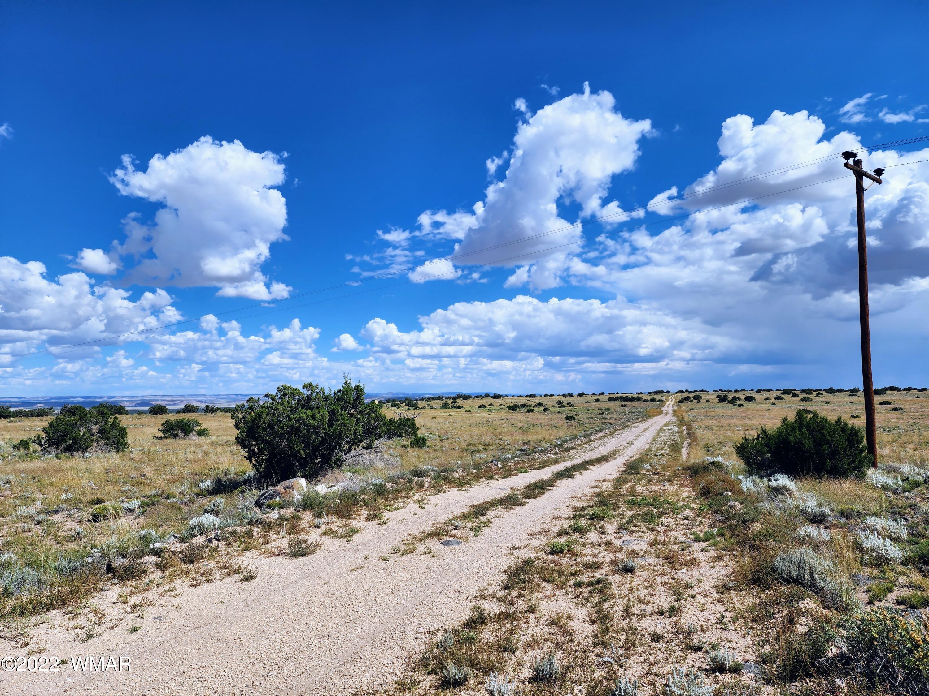 Lot 25 Elk Valley Ranch, Unit 1 St. Johns, AZ 85936 - Photo 11 of 19