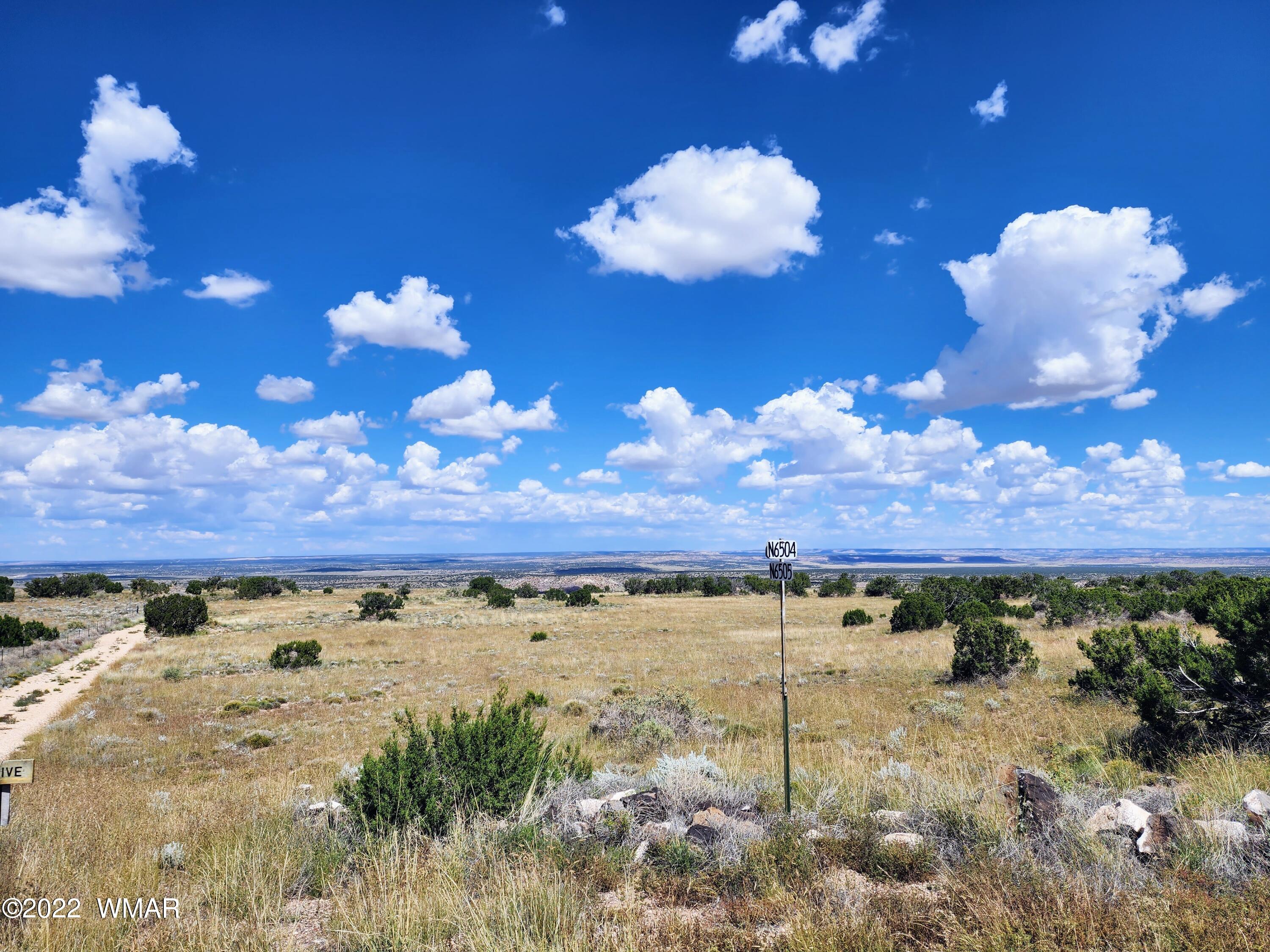 Lot 25 Elk Valley Ranch, Unit 1 St. Johns, AZ 85936 - Photo 14 of 19
