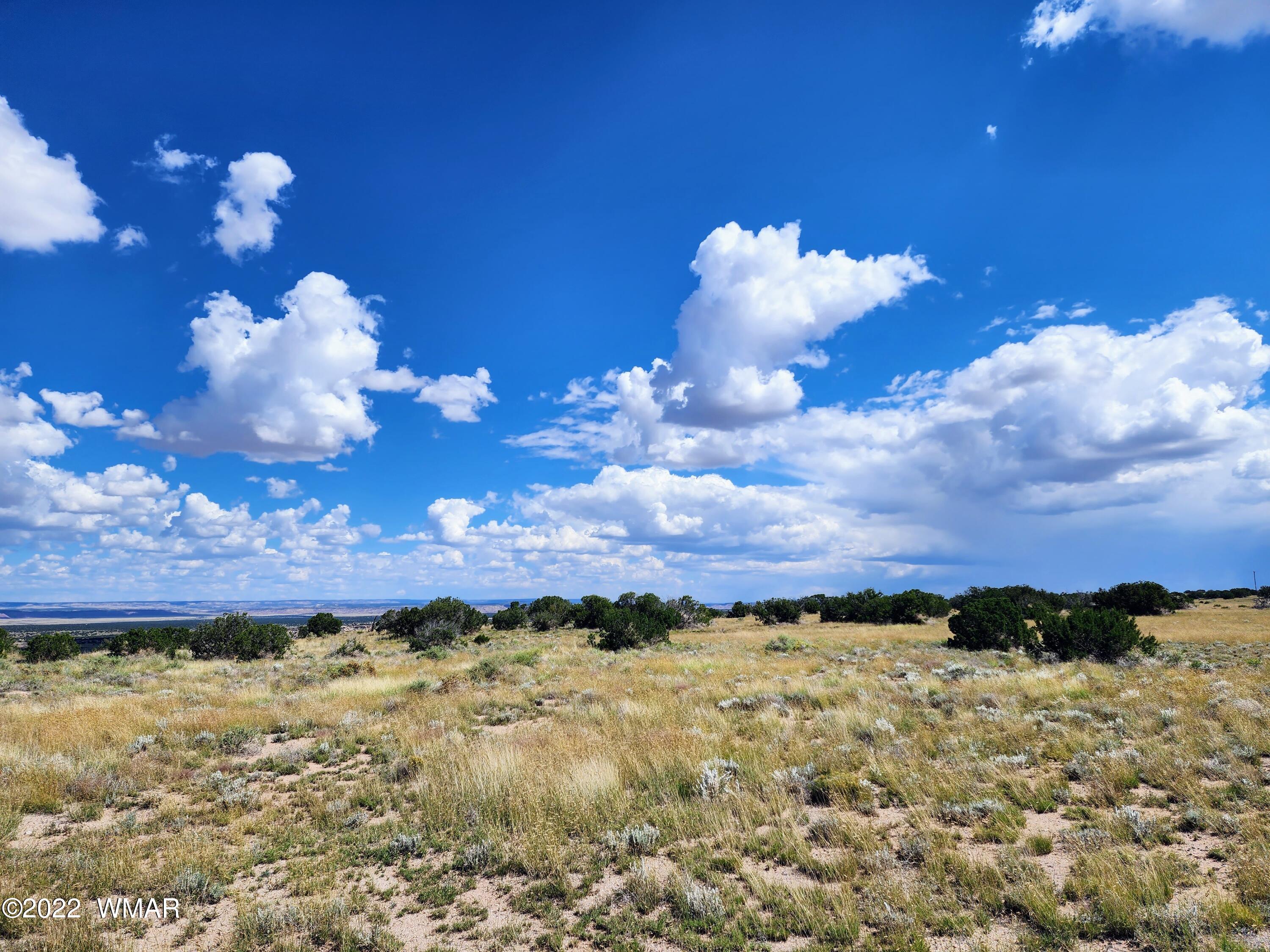 Lot 25 Elk Valley Ranch, Unit 1 St. Johns, AZ 85936 - Photo 15 of 19