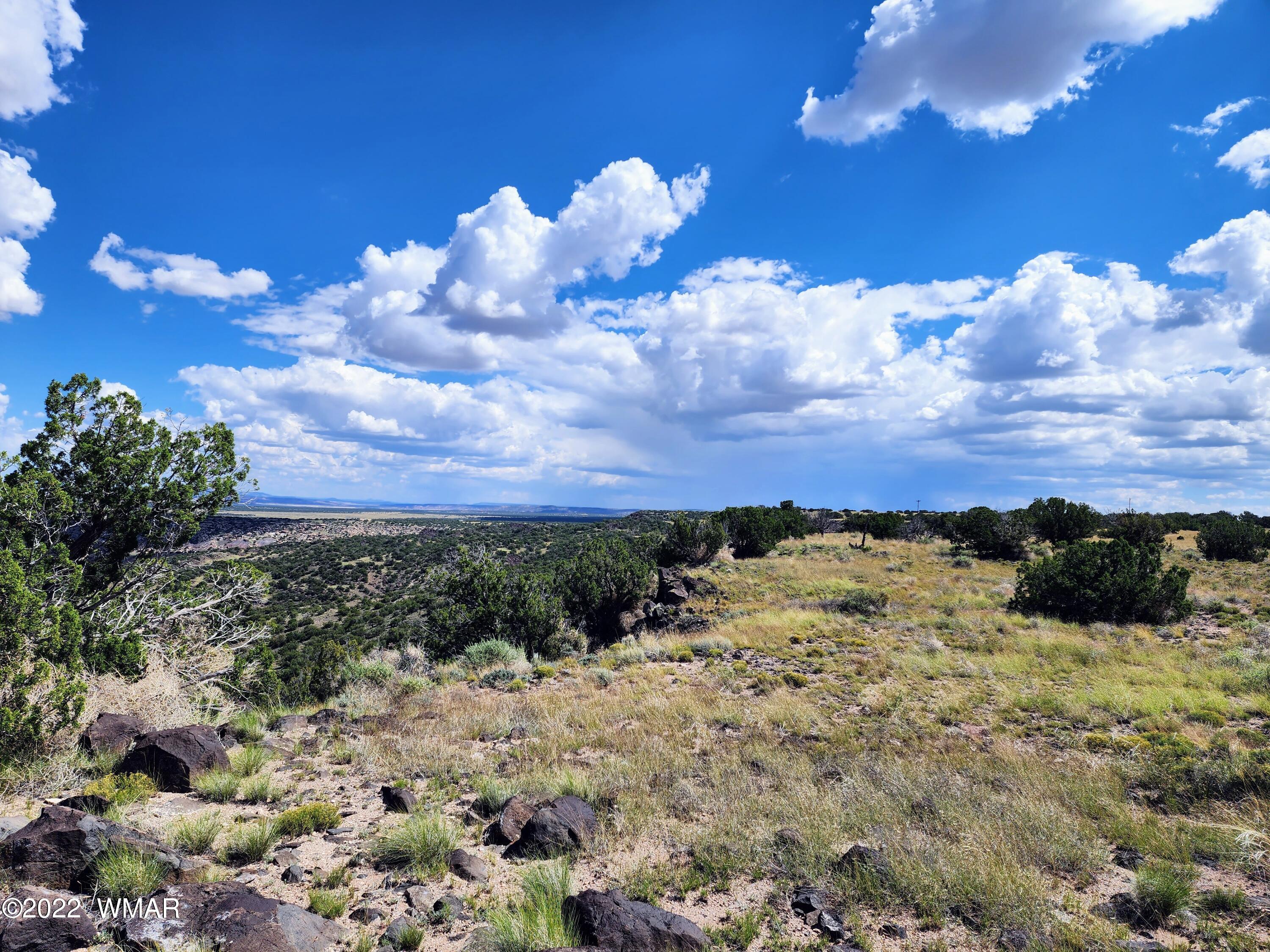Lot 25 Elk Valley Ranch, Unit 1 St. Johns, AZ 85936 - Photo 16 of 19