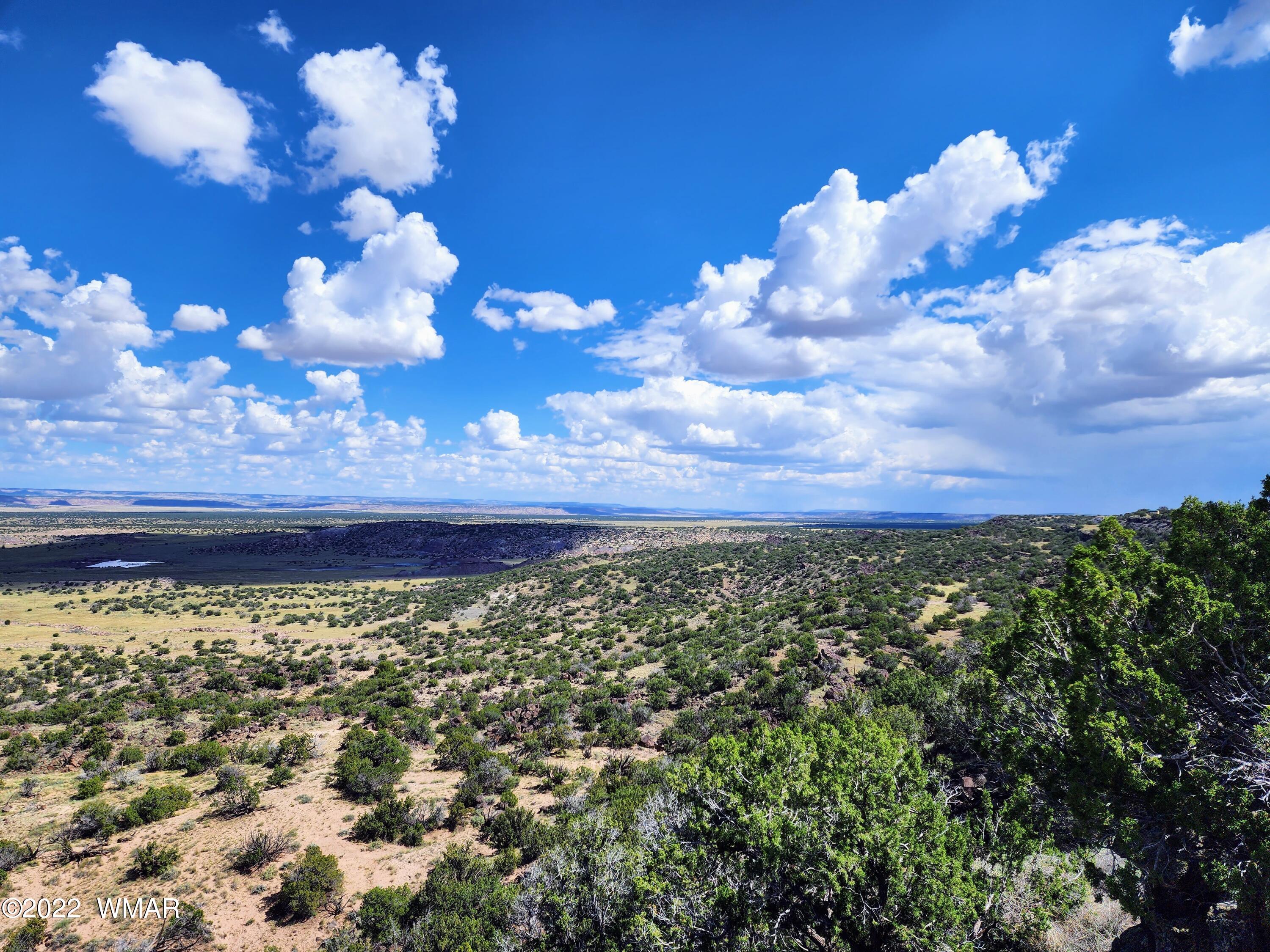 Lot 25 Elk Valley Ranch, Unit 1 St. Johns, AZ 85936 - Photo 19 of 19