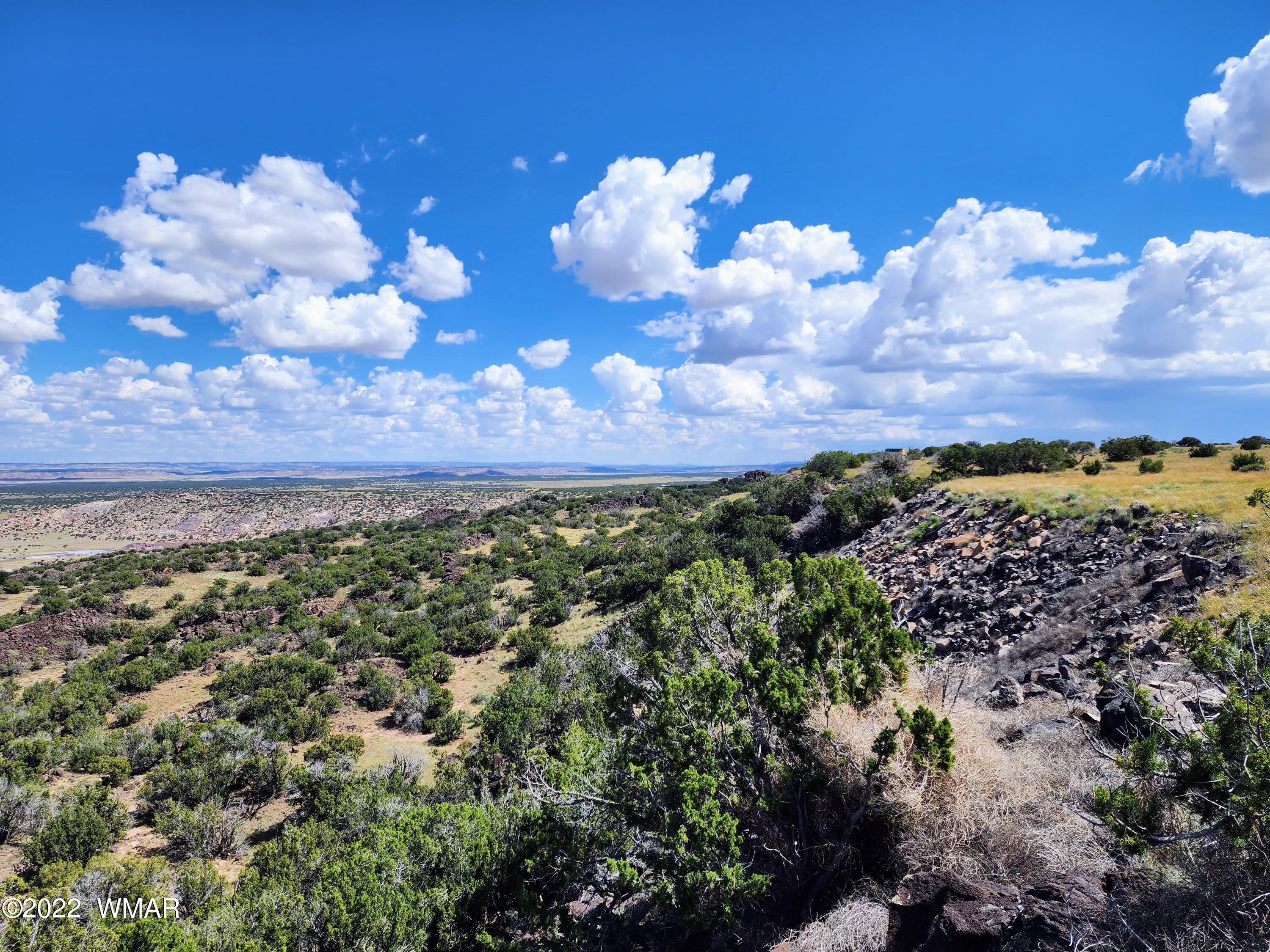 Lot 25 Elk Valley Ranch, Unit 1 St. Johns, AZ 85936 - Photo 2 of 19