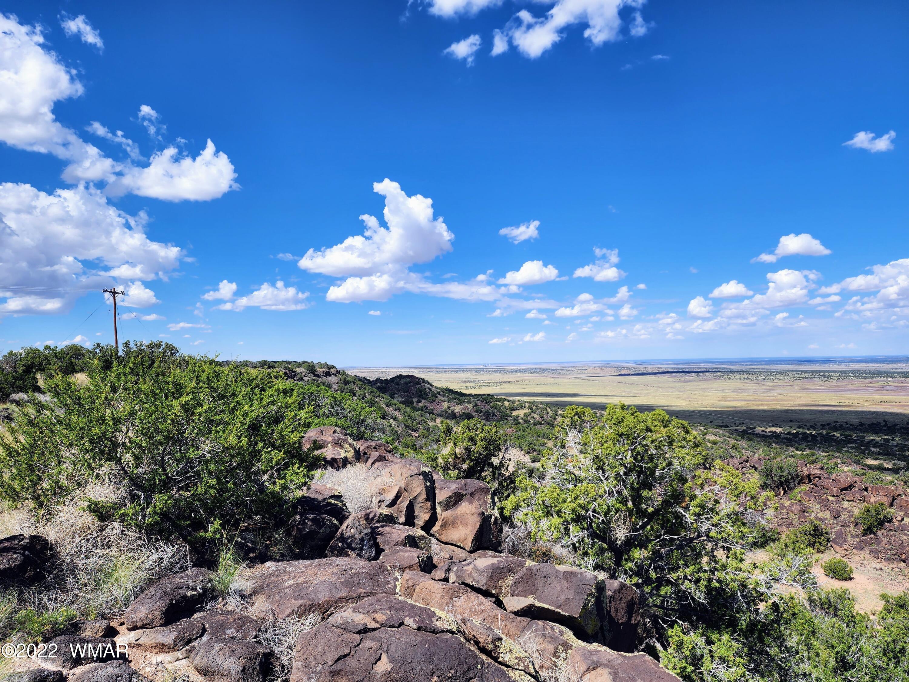 Lot 25 Elk Valley Ranch, Unit 1 St. Johns, AZ 85936 - Photo 3 of 19