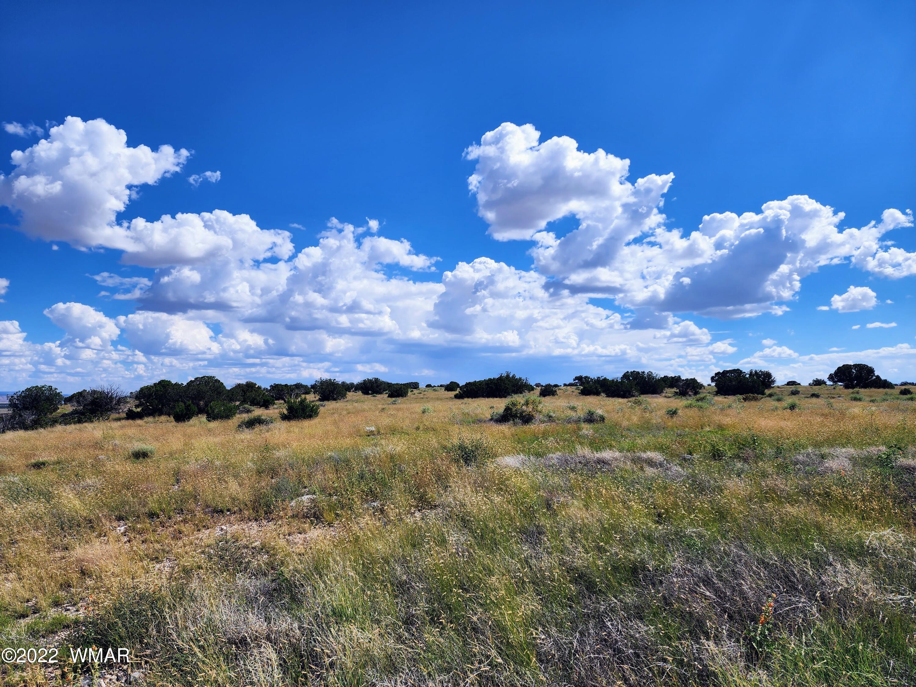 Lot 25 Elk Valley Ranch, Unit 1 St. Johns, AZ 85936 - Photo 4 of 19