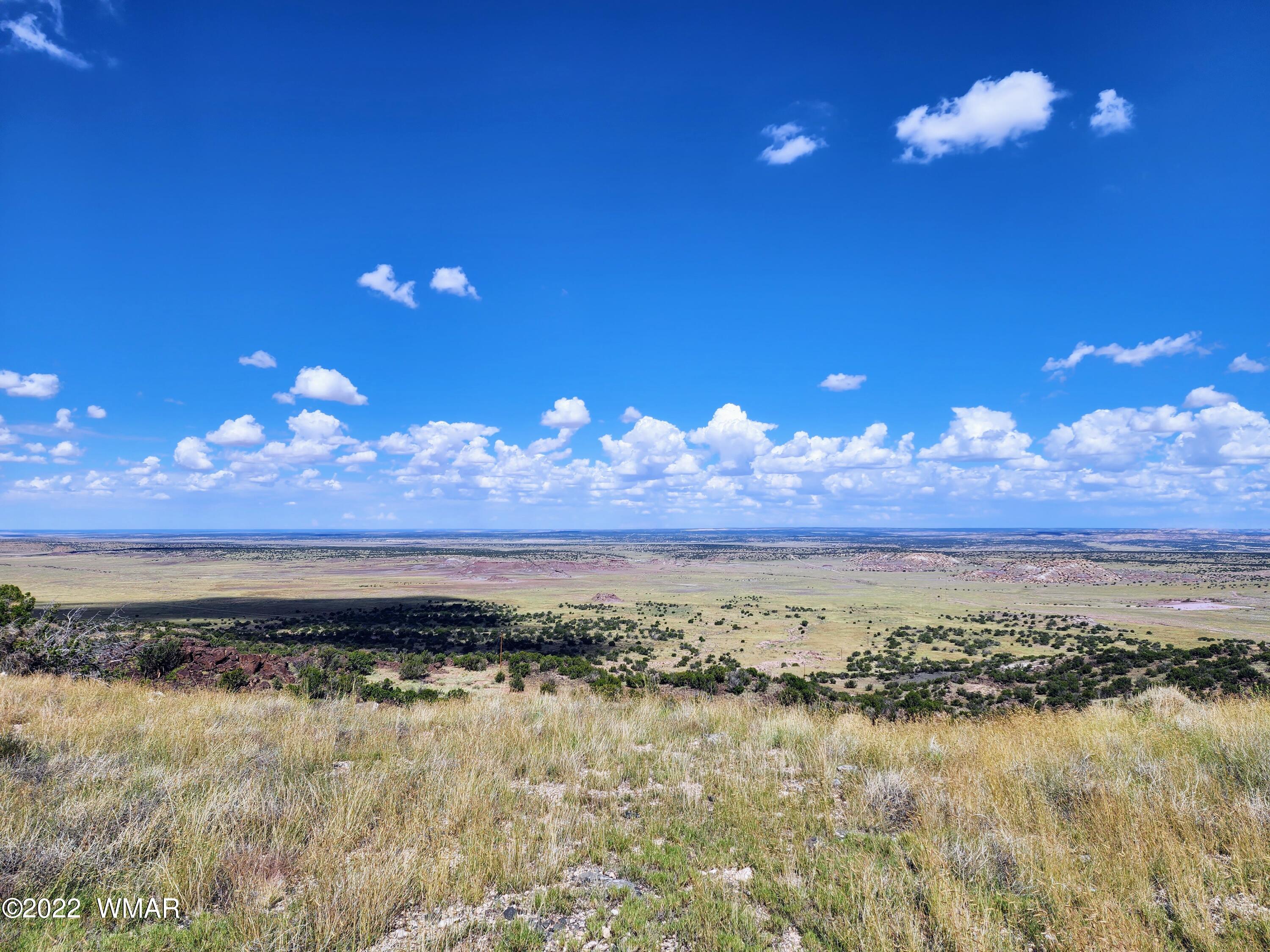 Lot 25 Elk Valley Ranch, Unit 1 St. Johns, AZ 85936 - Photo 5 of 19