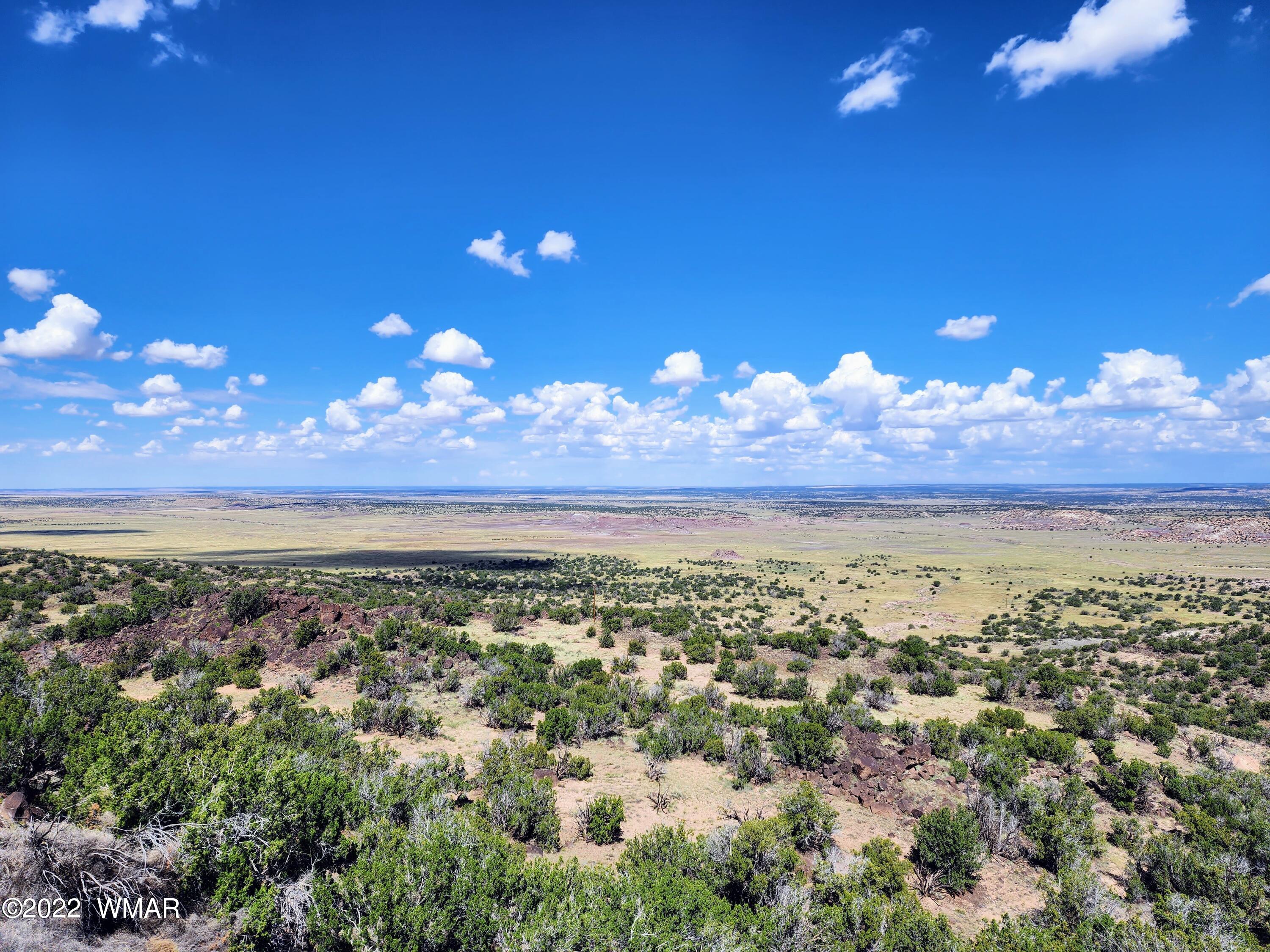 Lot 25 Elk Valley Ranch, Unit 1 St. Johns, AZ 85936 - Photo 6 of 19