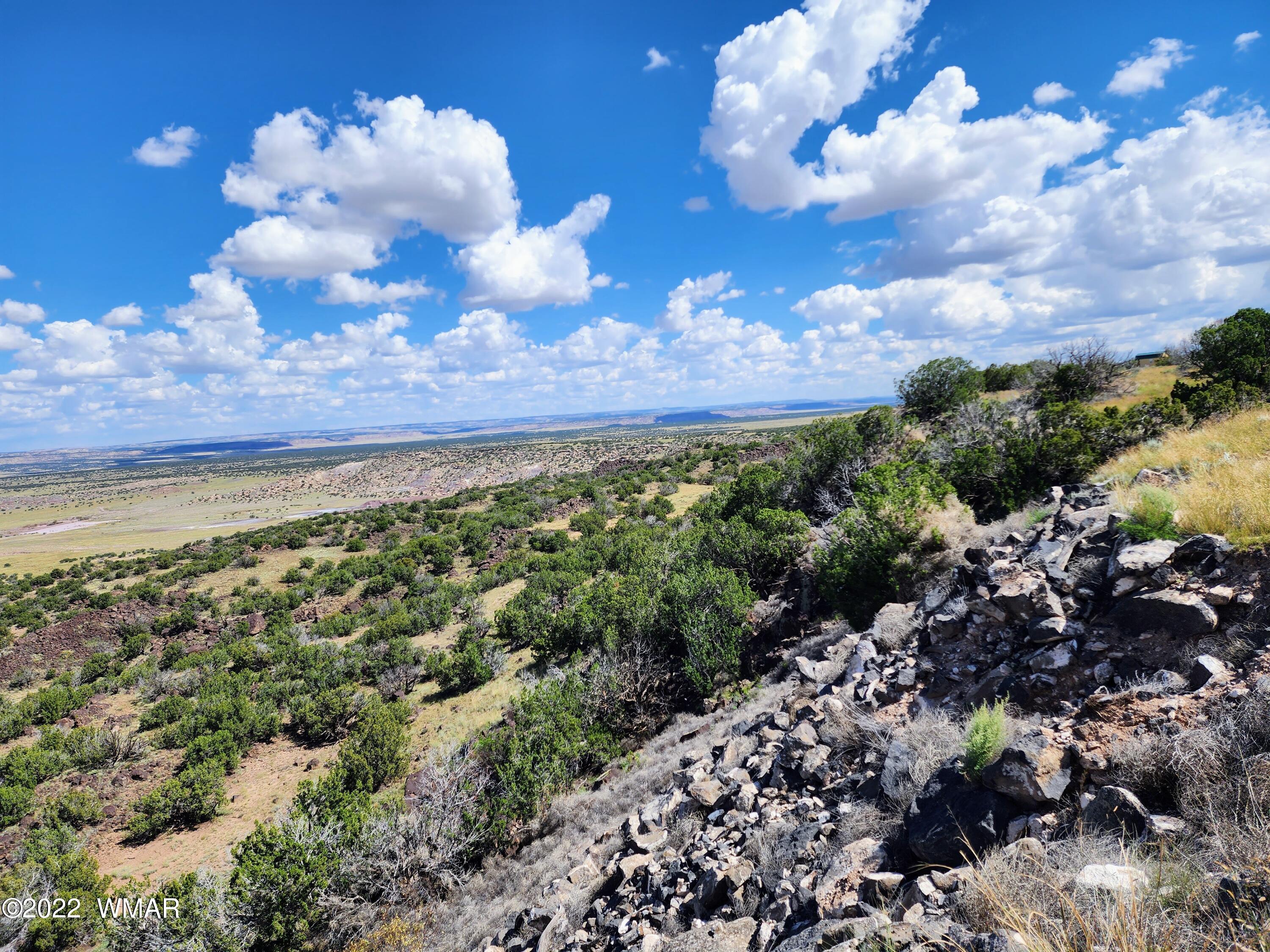 Lot 25 Elk Valley Ranch, Unit 1 St. Johns, AZ 85936 - Photo 8 of 19