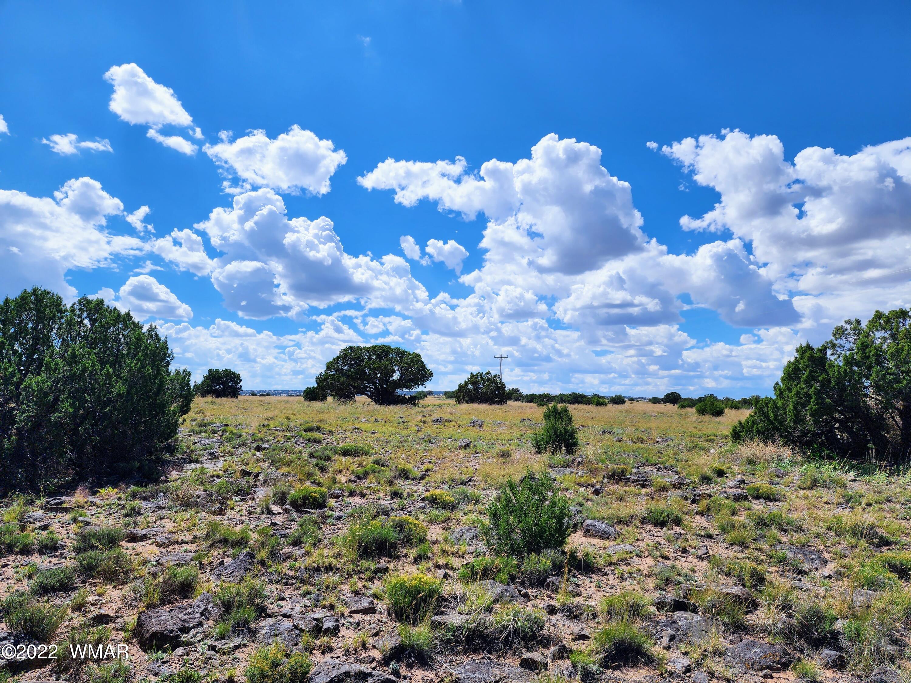 Lot 25 Elk Valley Ranch, Unit 1 St. Johns, AZ 85936 - Photo 9 of 19