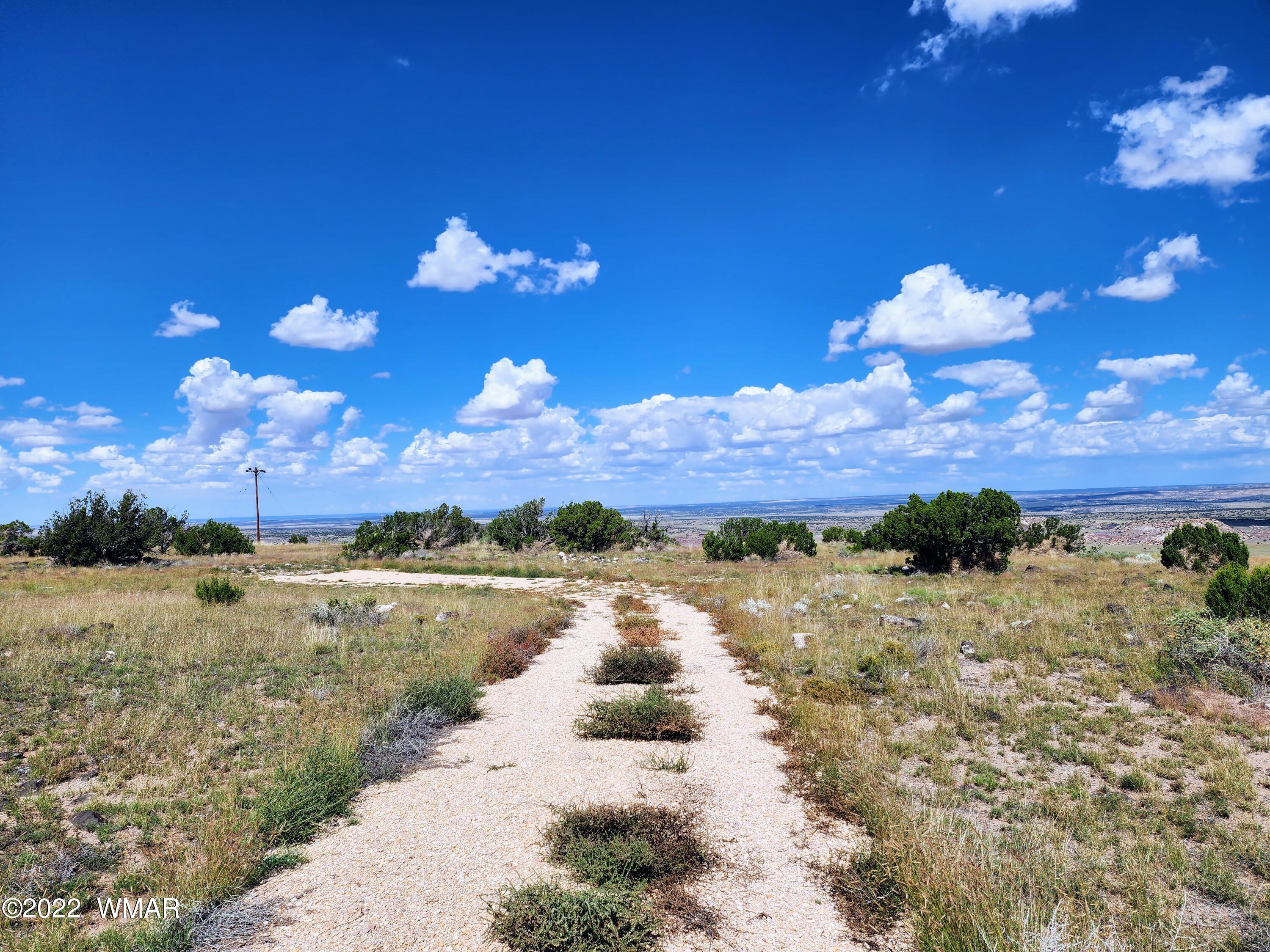 Lot 25 Elk Valley Ranch, Unit 1 St. Johns, AZ 85936 - Photo 10 of 19