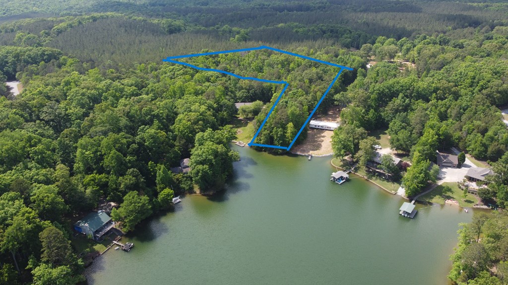 0 Lake Secession Road Iva, SC 29655 - Photo 5 of 5