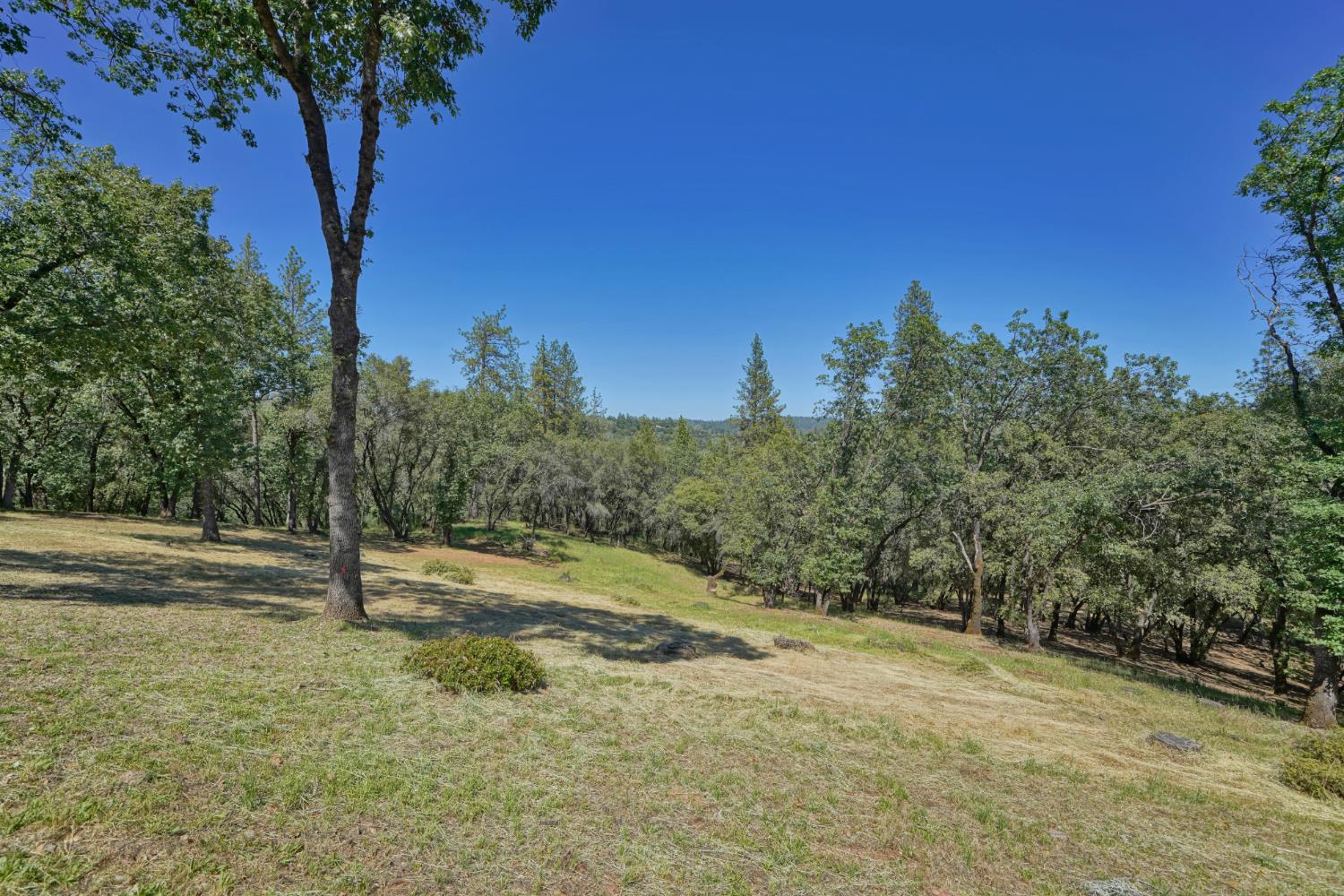 2469 Secret Ravine Trail Cool, CA 95614 - Photo 48 of 80